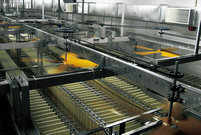 咨询设计与勘察施工